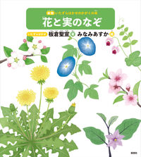 花と実のなぞ
