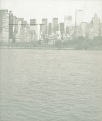 Kawamata Project on Roosevelt Island