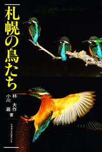 札幌の鳥たち