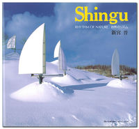 Shingu—自然のリズム
