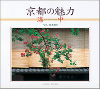 京都の魅力　洛中