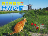 2024 岩合光昭 世界の猫カレンダー