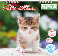 こねこカレンダー 2027