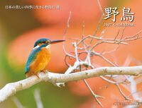 野鳥カレンダー 2027
