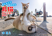 沖昌之 やんちゃで気ままな 島猫カレンダー 2027