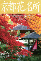 京都花名所