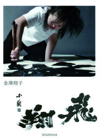飛翔