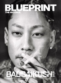 BLUEPRINT THE RECORDS
