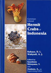 Common Littoral Hermit Crabs of Indonesia