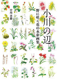 小川の辺 野に咲く花の水彩画集