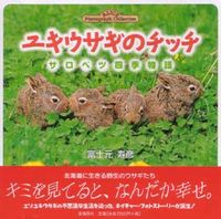 ユキウサギのチッチ サロベツ四季物語