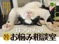はっちゃんのなんでもお悩み相談室