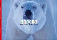 北極シロクマ南極ペンギン