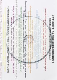 公共性を再演する｜作品の解説を23種類の言語に翻訳する 丹羽良徳の2004年から2012年の介入プロジェクト