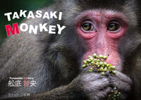 TAKASAKI MONKEY