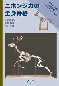 ニホンジカの全身骨格