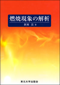 燃焼現象の解析